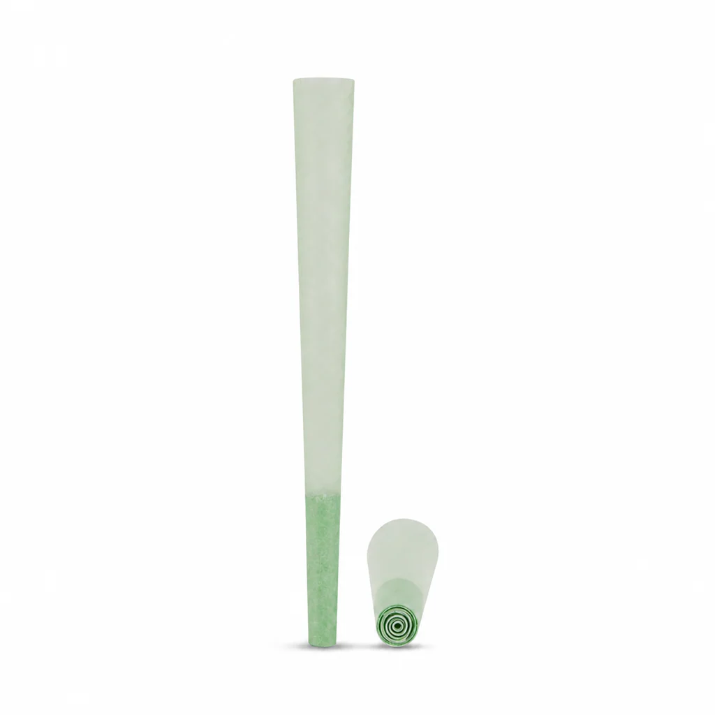 98mm Standard Green Paper Spiral Filter (Paper) Cones - Image 2