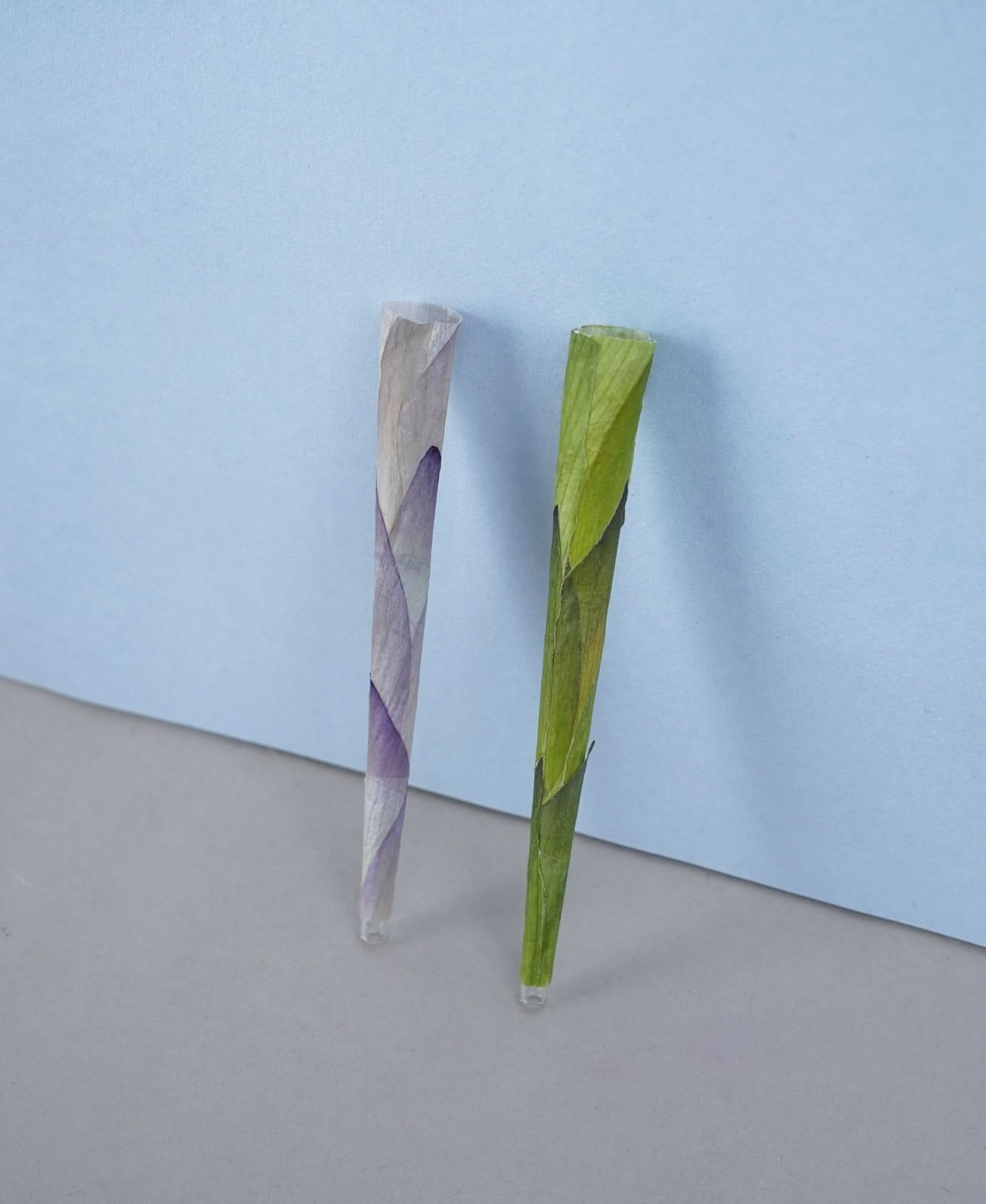 HAND ROLLED GLASS TIPS CONE - LOTUS PETALS - BOX OF 150 CONES - Image 5